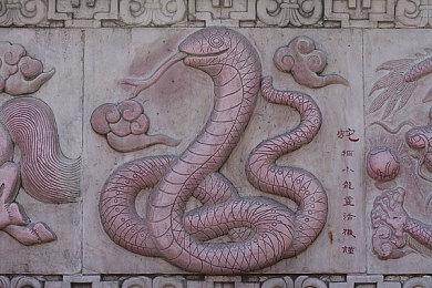 《七龙珠：破界斗士》公布赛季更新路线图 每季都有新角色